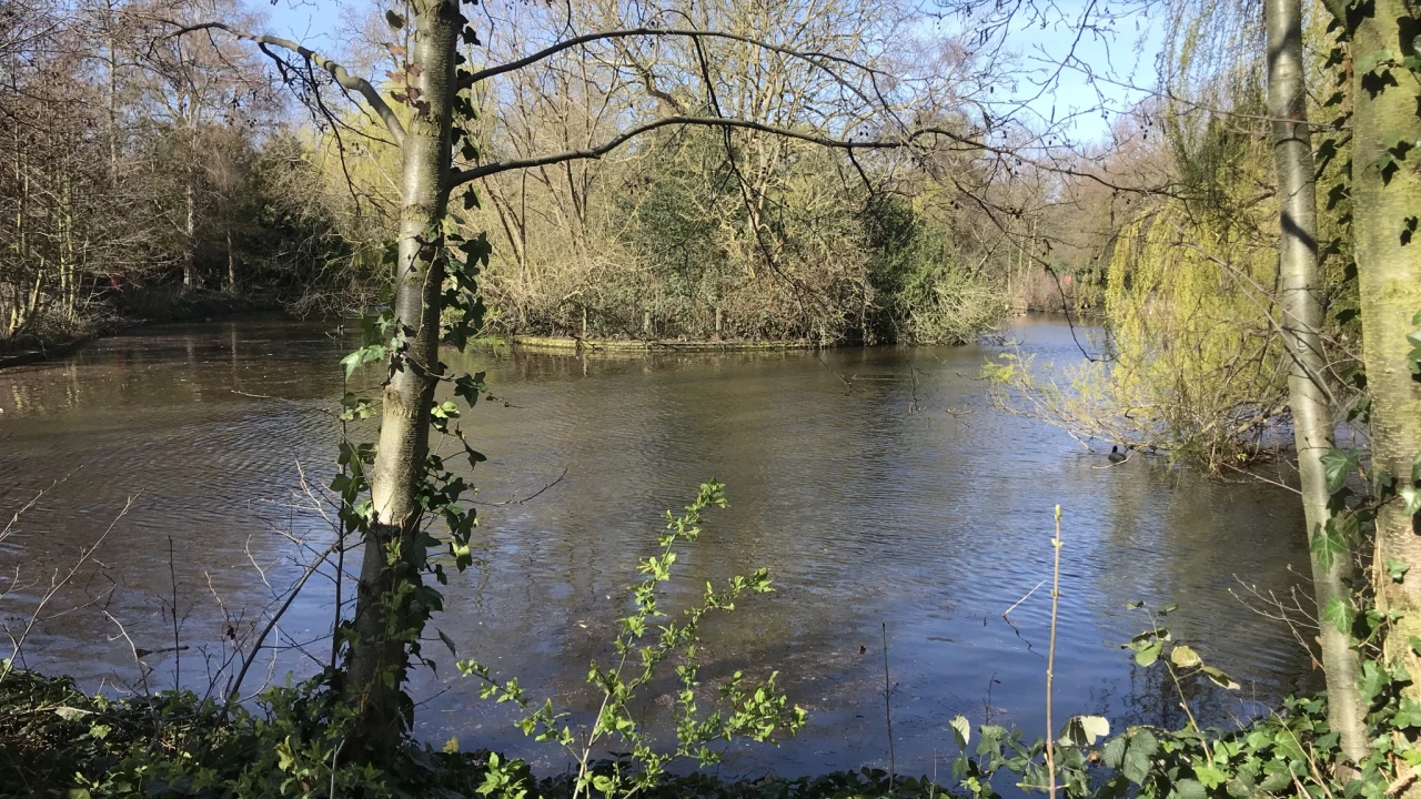 Lake in Peckham Rye Park